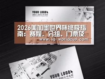 项目名称五