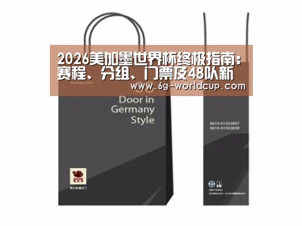 项目名称十四