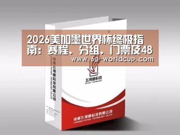 项目名称十三